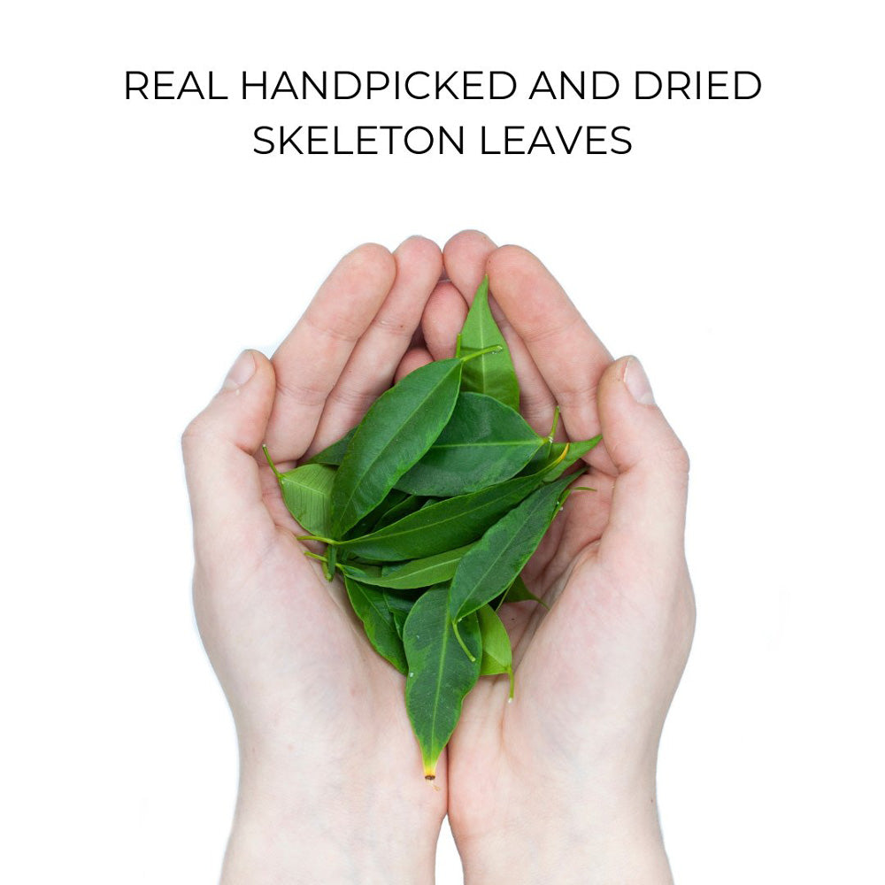 Organic Case - Skeleton Leaves (TL)