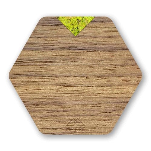 Wooden Coasters - American Walnut / Set of 4 coasters (TL)